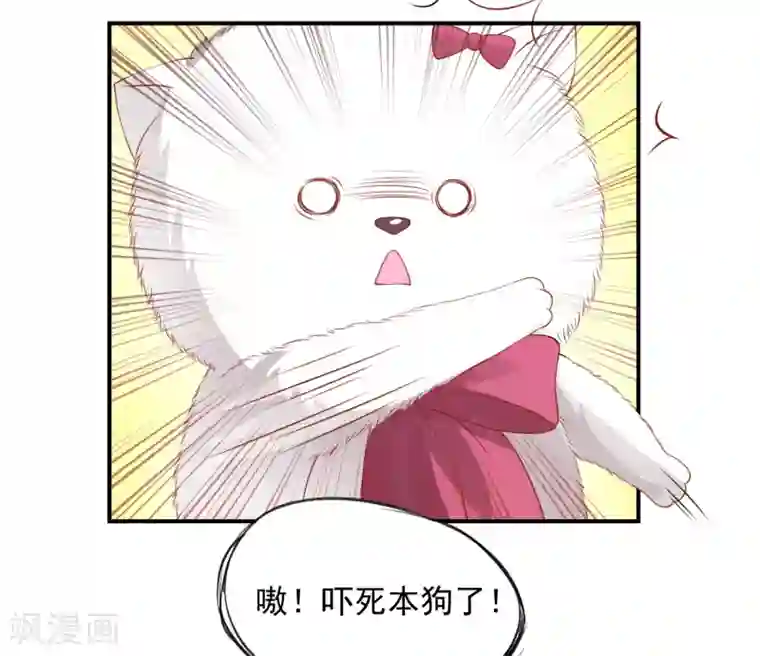 怦然心动的秘密第9话 宠物恋人1