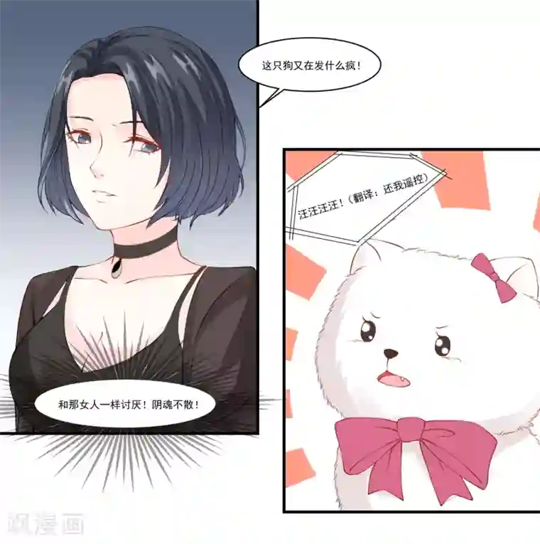 怦然心动的秘密第9话 宠物恋人1