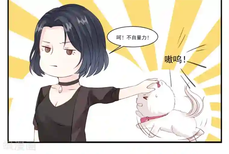 怦然心动的秘密第9话 宠物恋人1