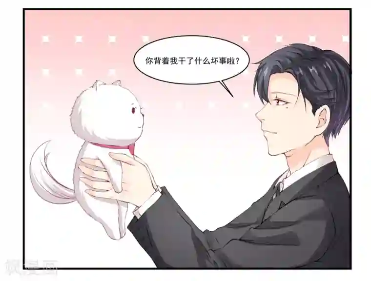 怦然心动的秘密第9话 宠物恋人1