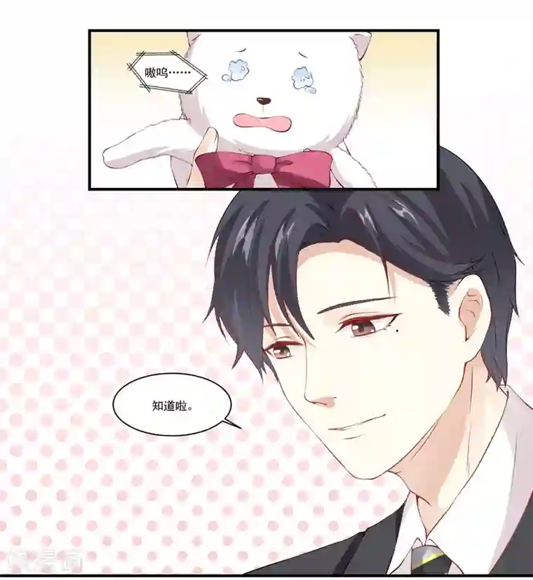 怦然心动的秘密第9话 宠物恋人1