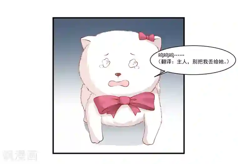 怦然心动的秘密第9话 宠物恋人1