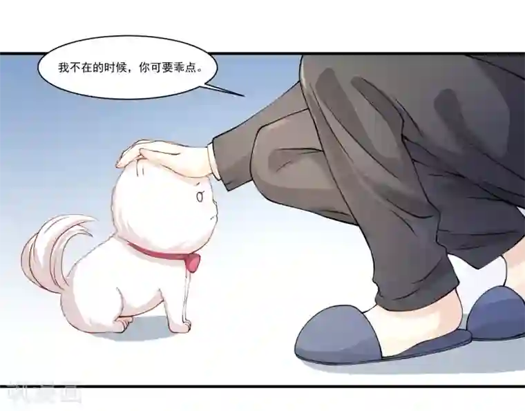 怦然心动的秘密第9话 宠物恋人1