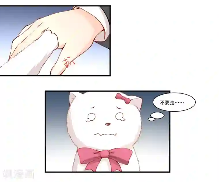 怦然心动的秘密第9话 宠物恋人1