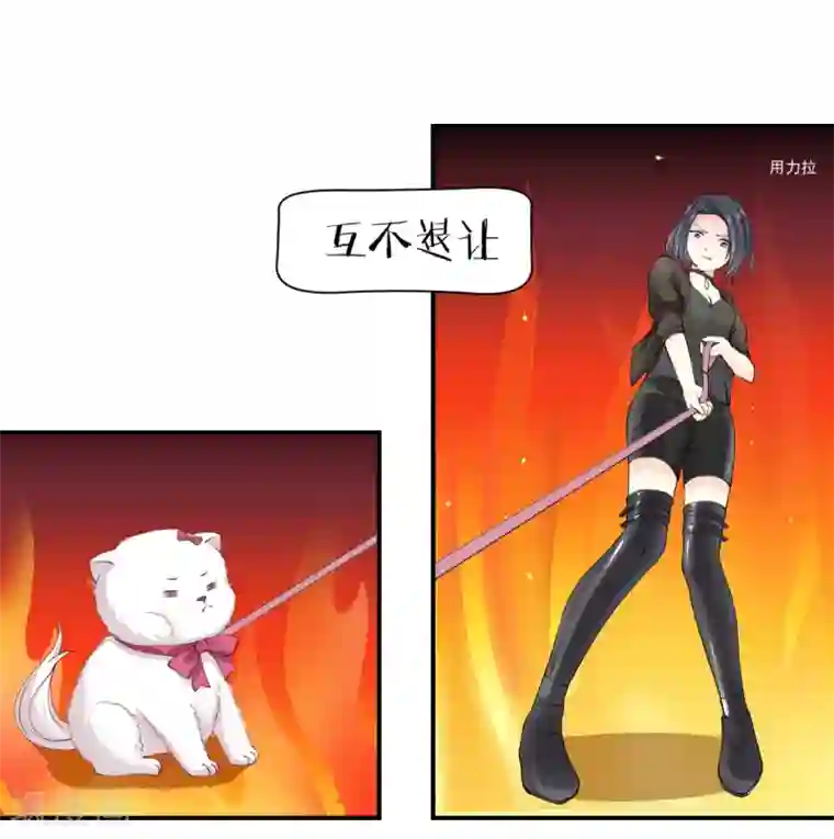 怦然心动的秘密第9话 宠物恋人1