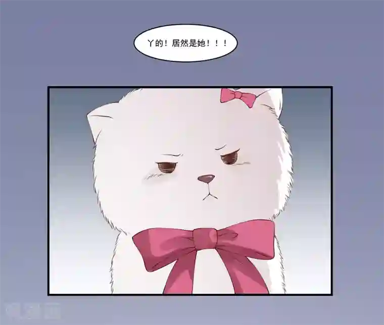 怦然心动的秘密第9话 宠物恋人1