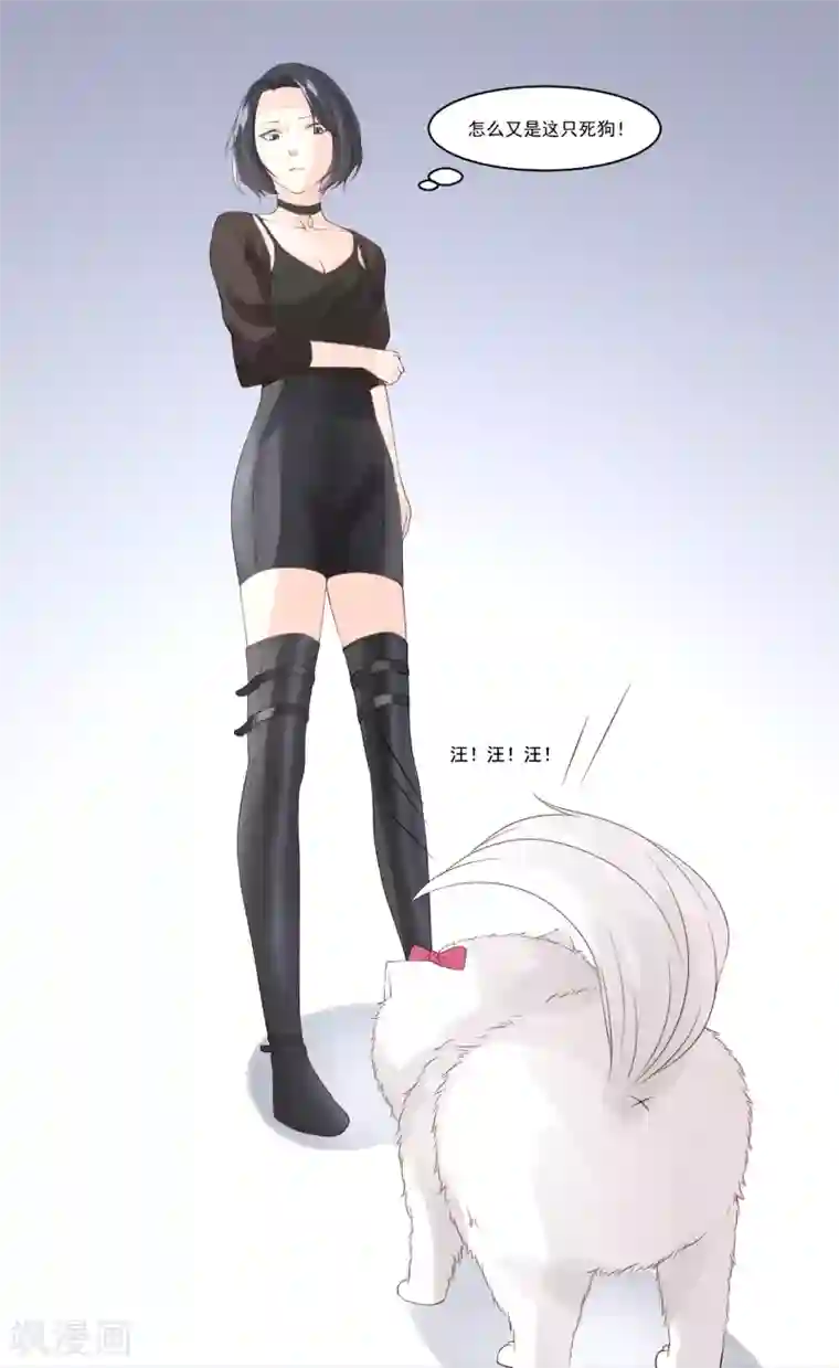 怦然心动的秘密第9话 宠物恋人1