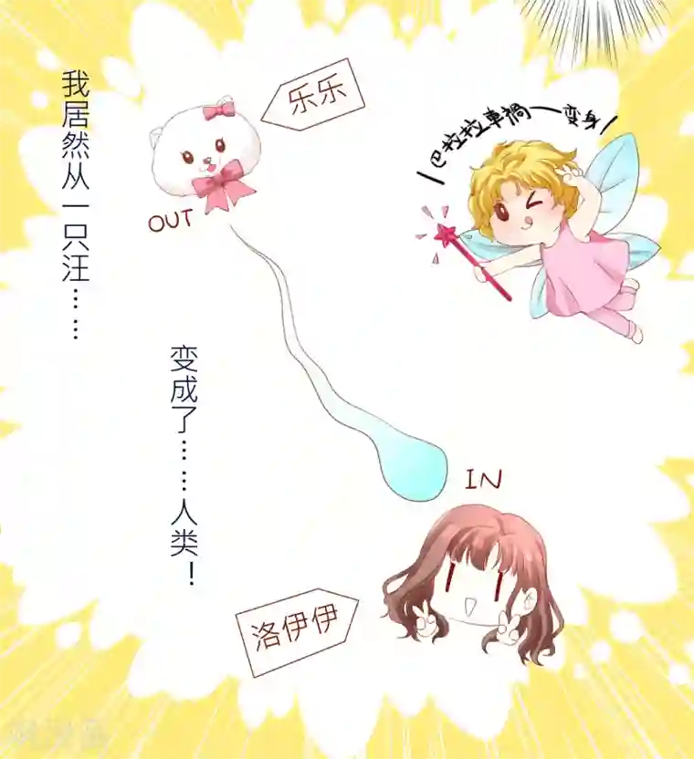 怦然心动的秘密第10话 宠物恋人2