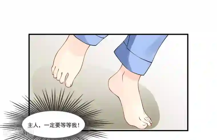 怦然心动的秘密第10话 宠物恋人2