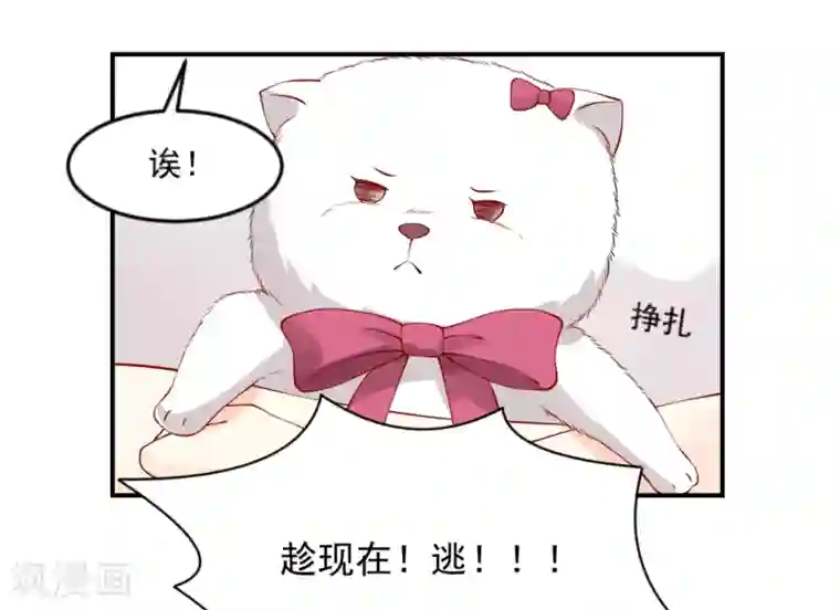 怦然心动的秘密第10话 宠物恋人2