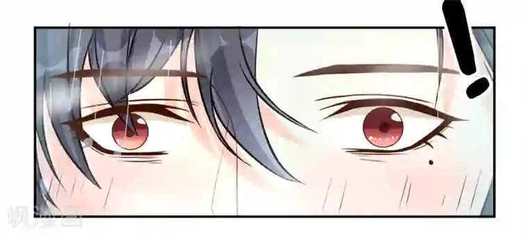 怦然心动的秘密第11话 宠物恋人3