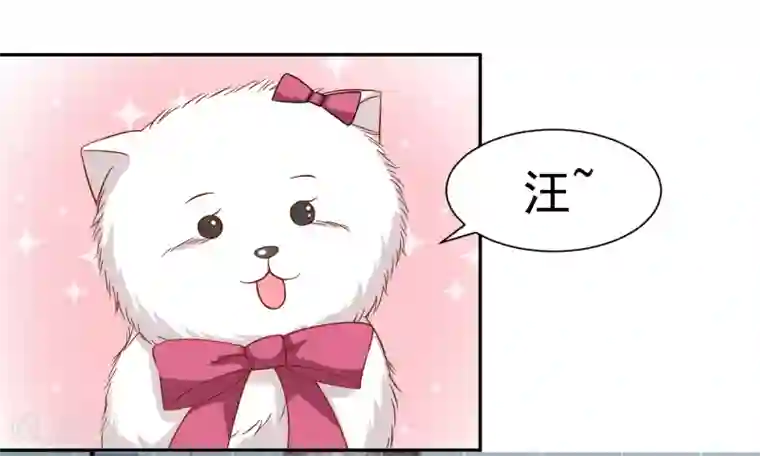 怦然心动的秘密第11话 宠物恋人3