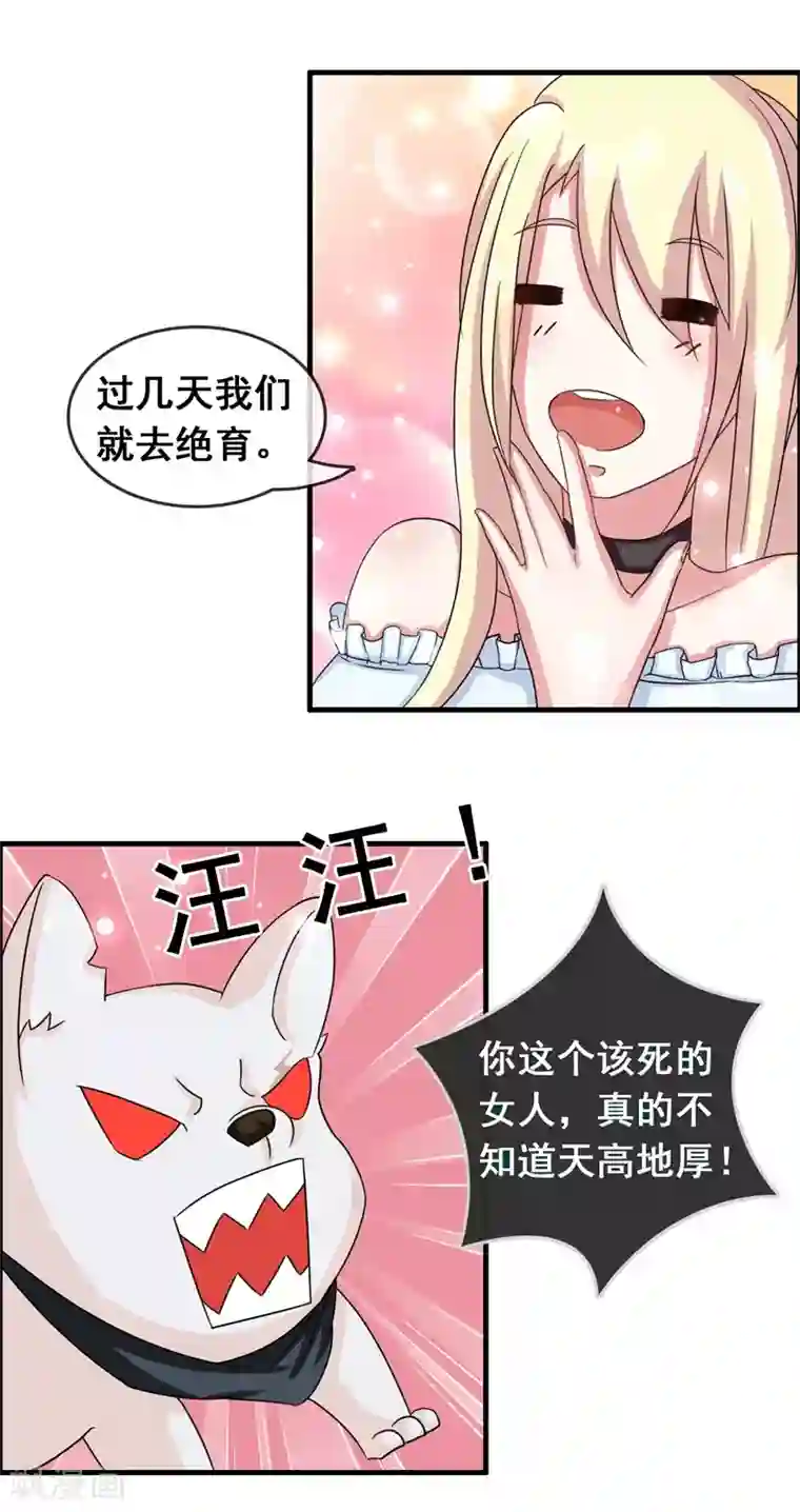 怦然心动的秘密第50话 腹黑总裁小野狗1