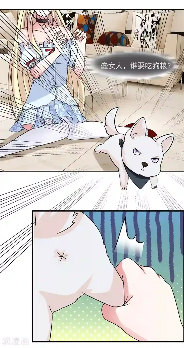 怦然心动的秘密第50话 腹黑总裁小野狗1