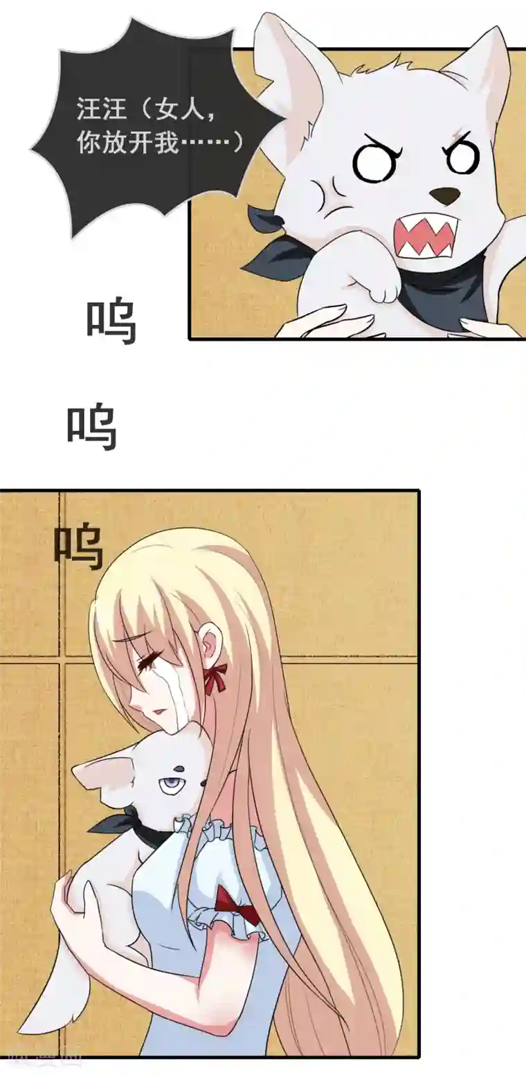 女主戴跳蚤蛋出门的视频第51话 腹黑总裁小野狗2