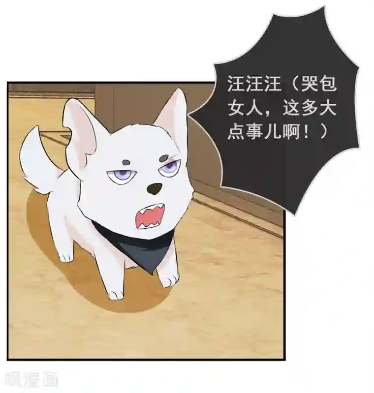 女主戴跳蚤蛋出门的视频第51话 腹黑总裁小野狗2