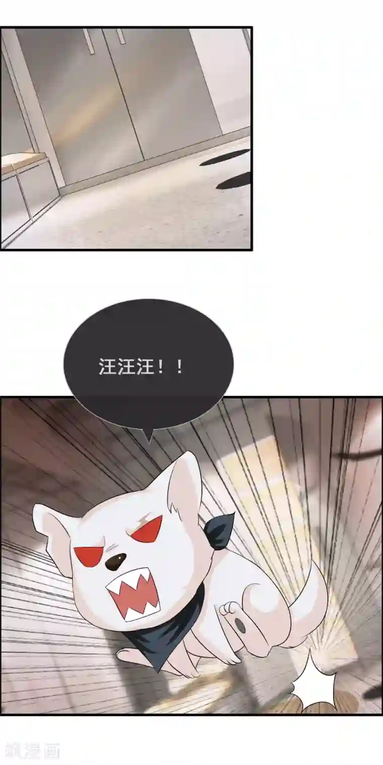 怦然心动的秘密第52话 腹黑总裁小野狗3