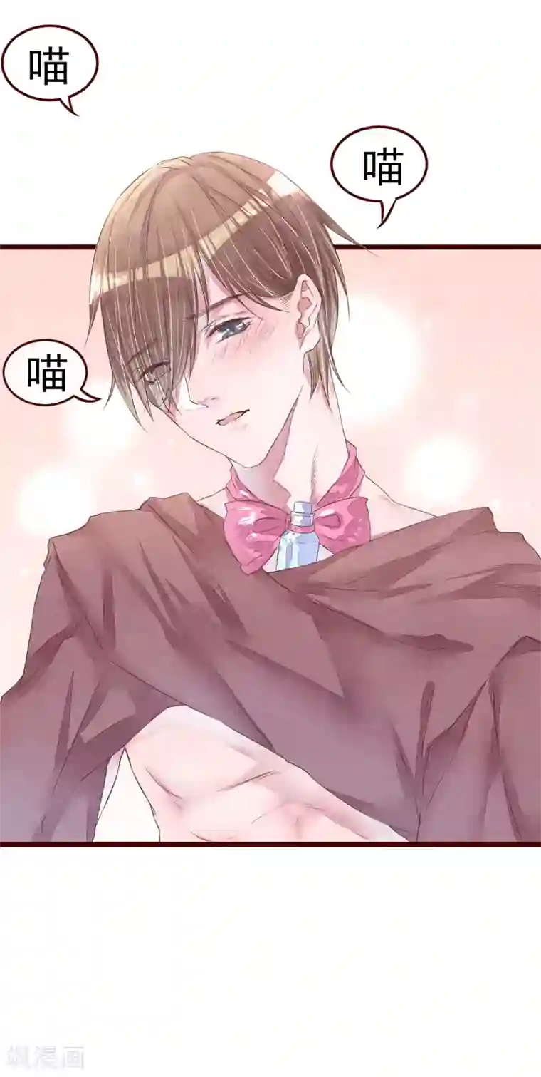 怦然心动的秘密第76话 猫之男子2
