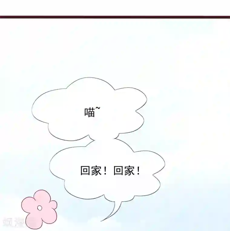 怦然心动的秘密第76话 猫之男子2