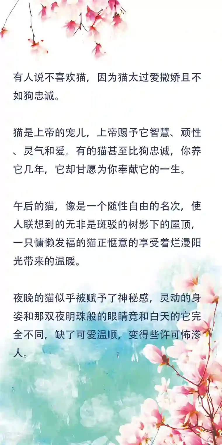 怦然心动的秘密第77话 猫之男子3