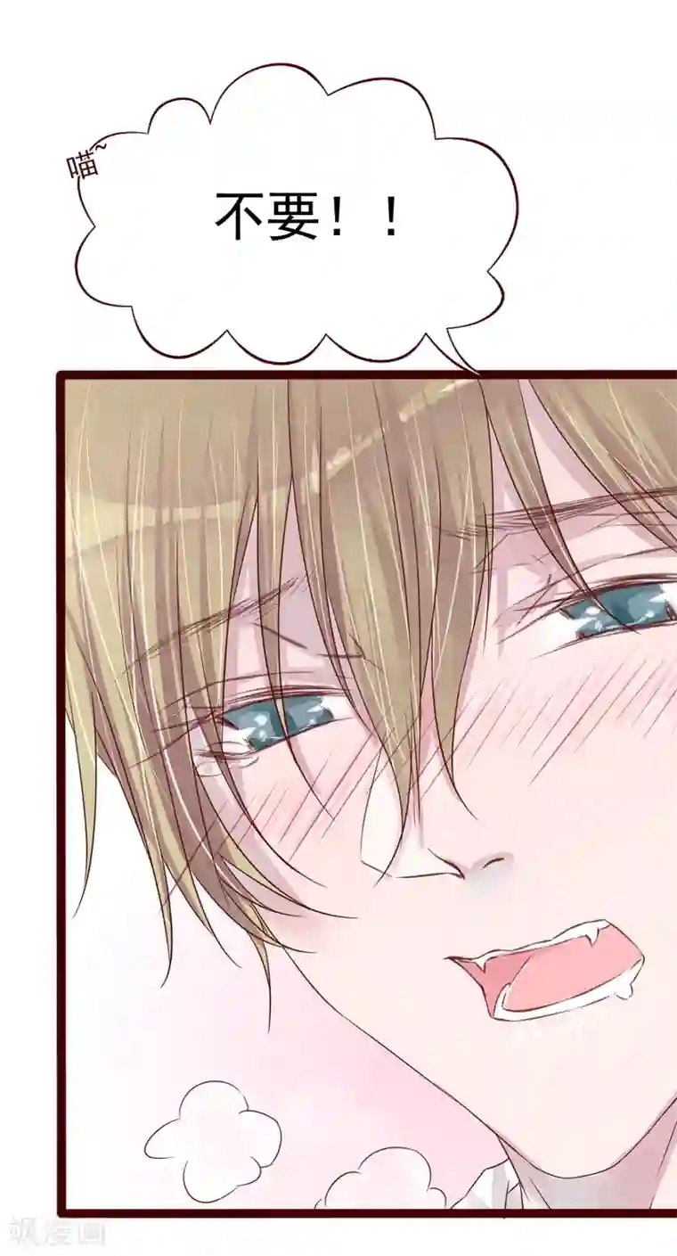 怦然心动的秘密第77话 猫之男子3