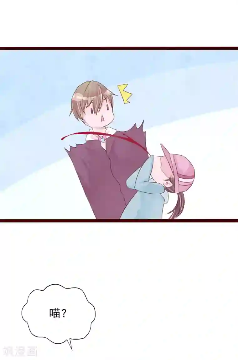 怦然心动的秘密第77话 猫之男子3