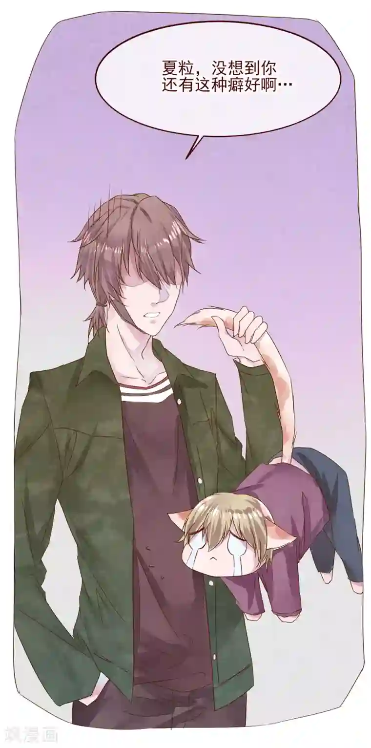 怦然心动的秘密第77话 猫之男子3