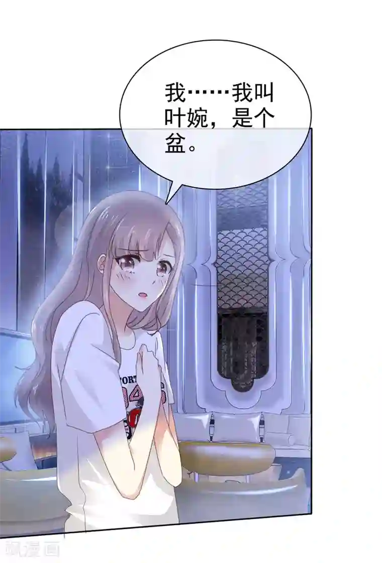 盆然星动第2话 我就是一个盆