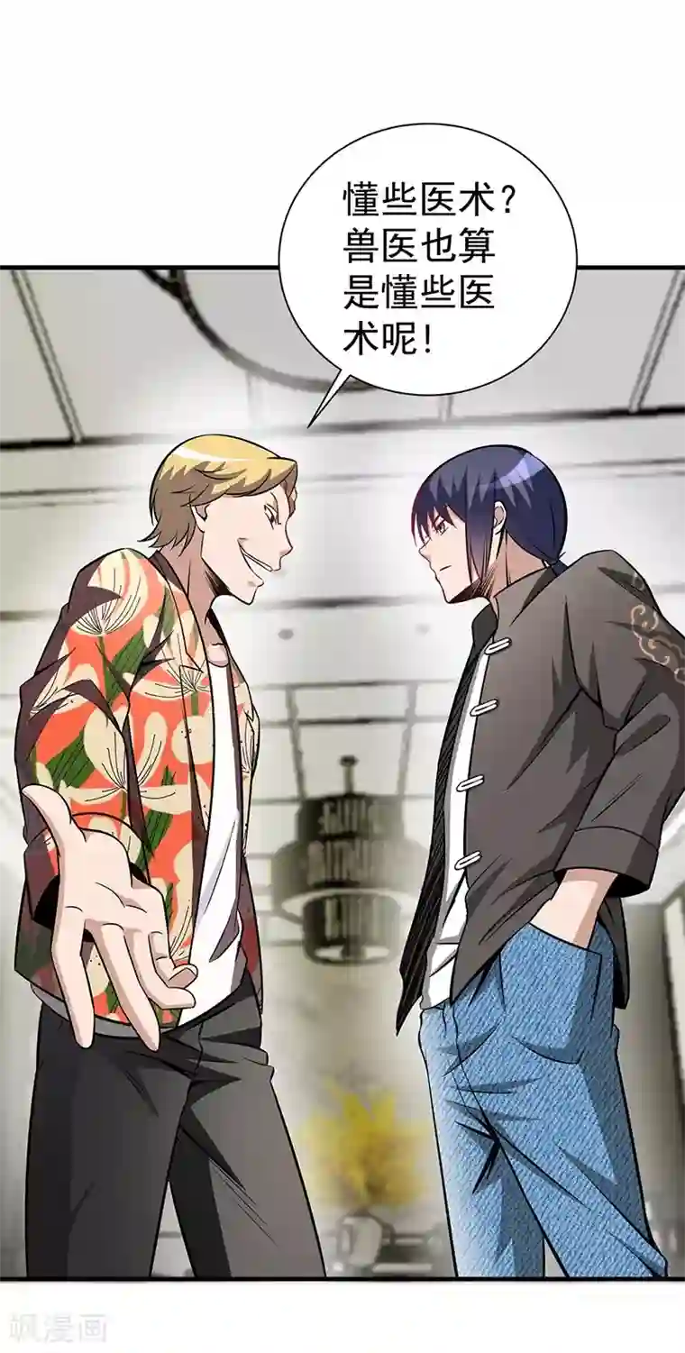 绝品强少第2话 立下军令状