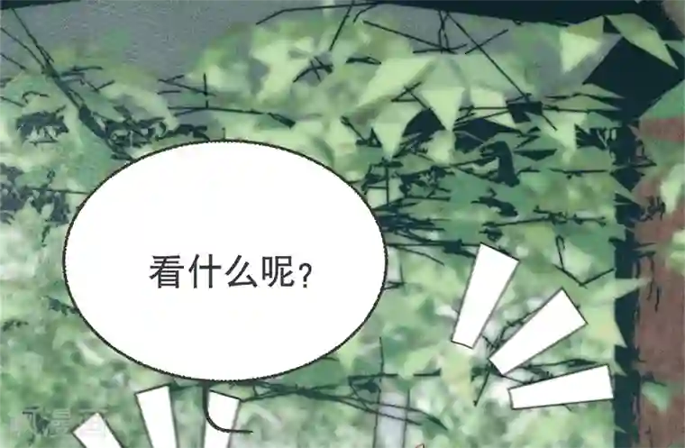 凤还朝，妖孽王爷请让道第7话 公子话本