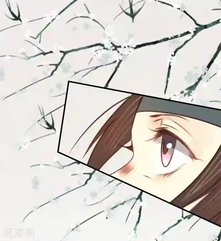 凤还朝，妖孽王爷请让道第20话 我家公子要见你