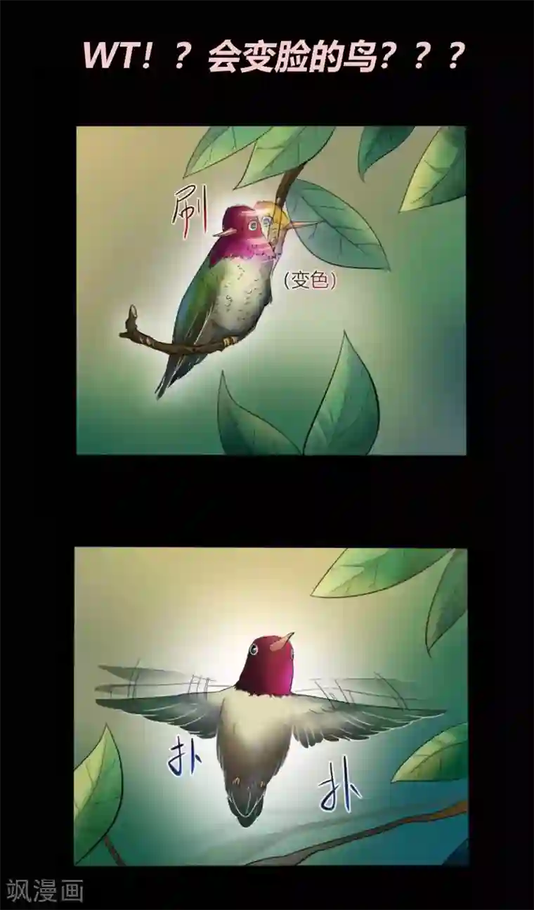 前桌学霸，后桌学渣第8话 千钧一发