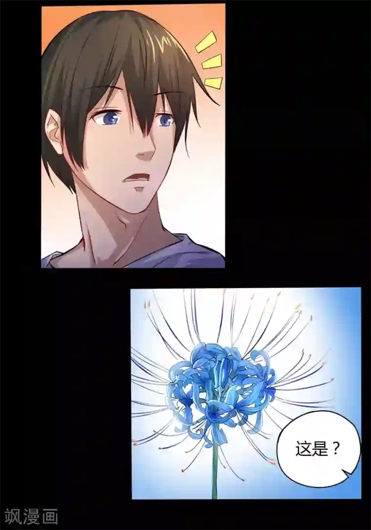 赤夜脸谱第9话 冥界之花