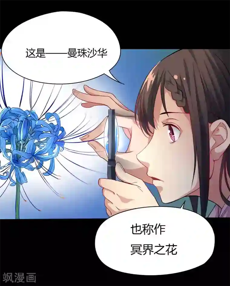 赤夜脸谱第9话 冥界之花