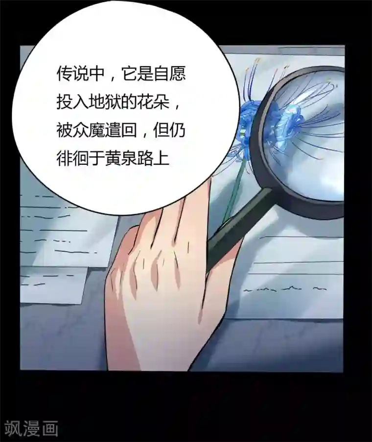 赤夜脸谱第9话 冥界之花