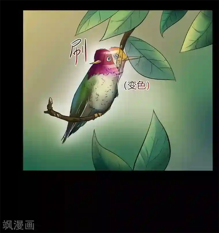 赤夜脸谱第15话 变脸鸟与指婆