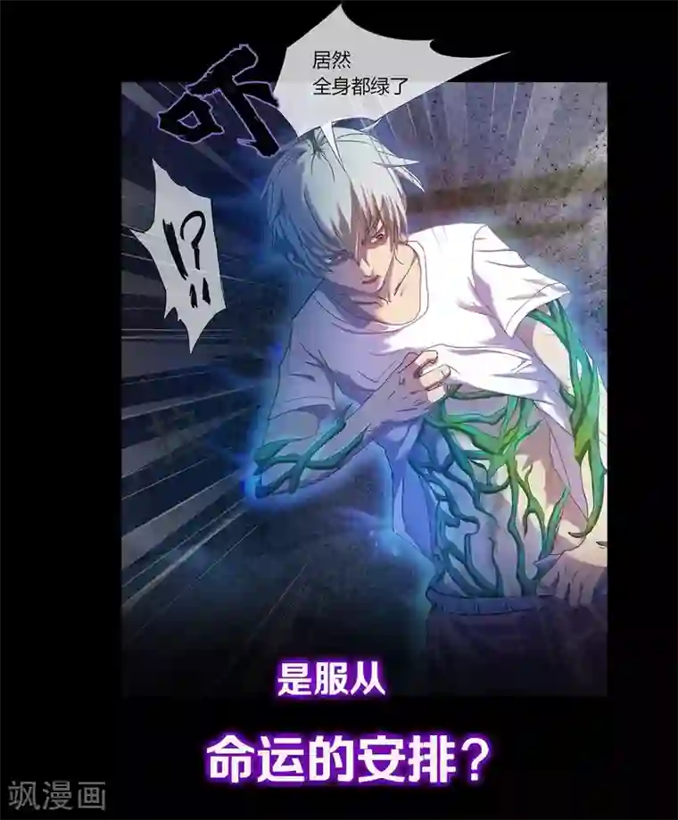 青帝传预告