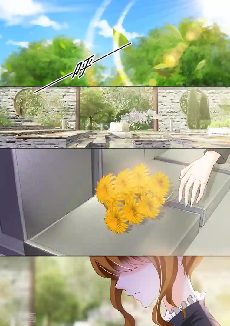 豪门天价前妻第261话 无人的葬礼，我会活得很好！