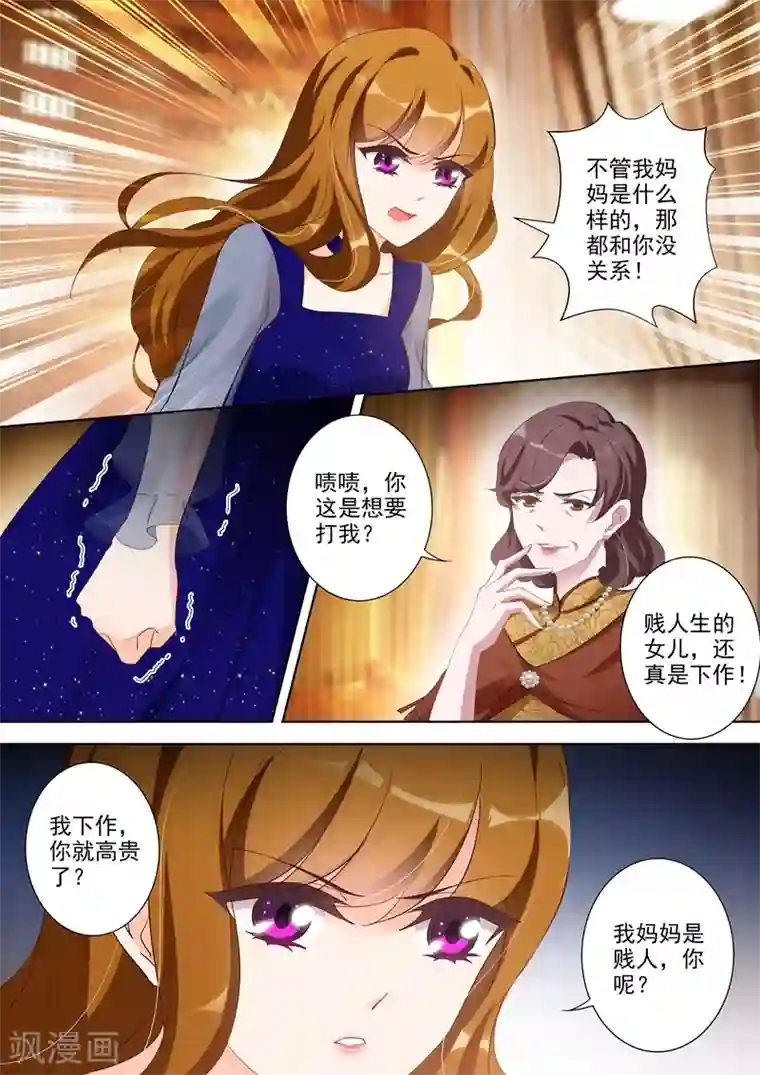 豪门天价前妻第343话 北辰妈妈的约见