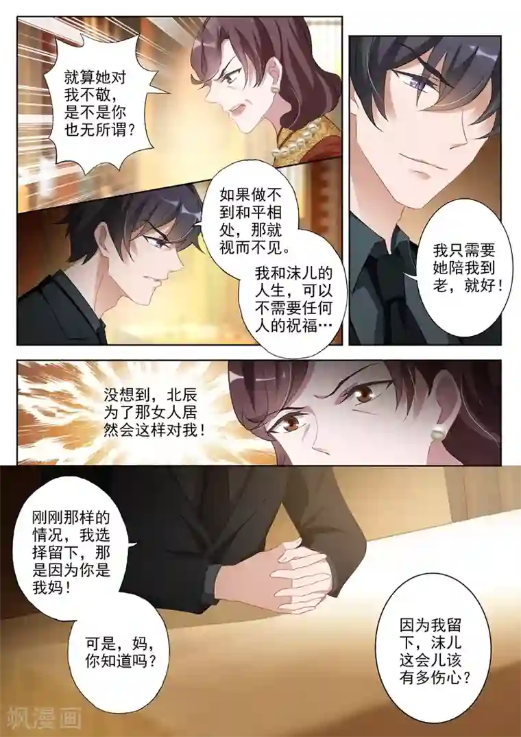 豪门天价前妻第343话 北辰妈妈的约见
