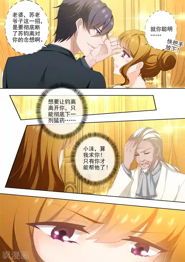 豪门天价前妻第445话 苦恋不成反成兄妹