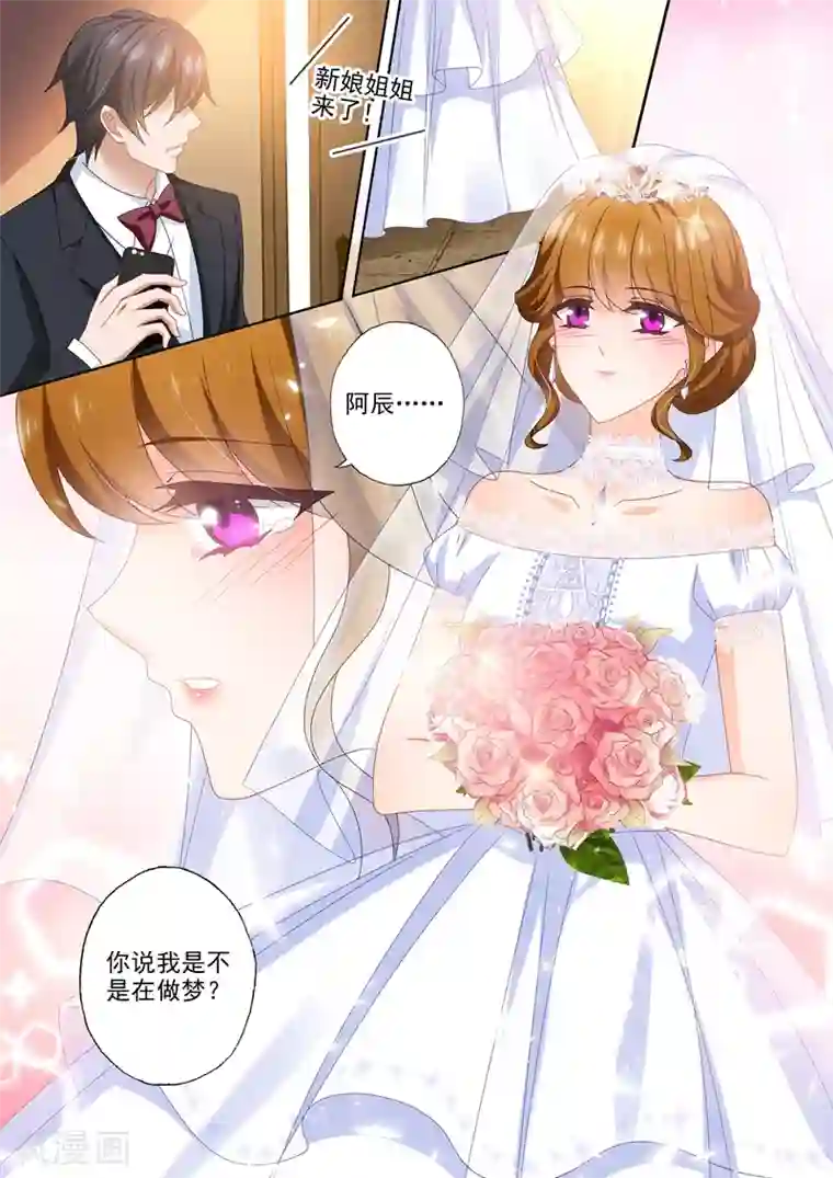 豪门天价前妻第459话 他与她的第二次婚礼
