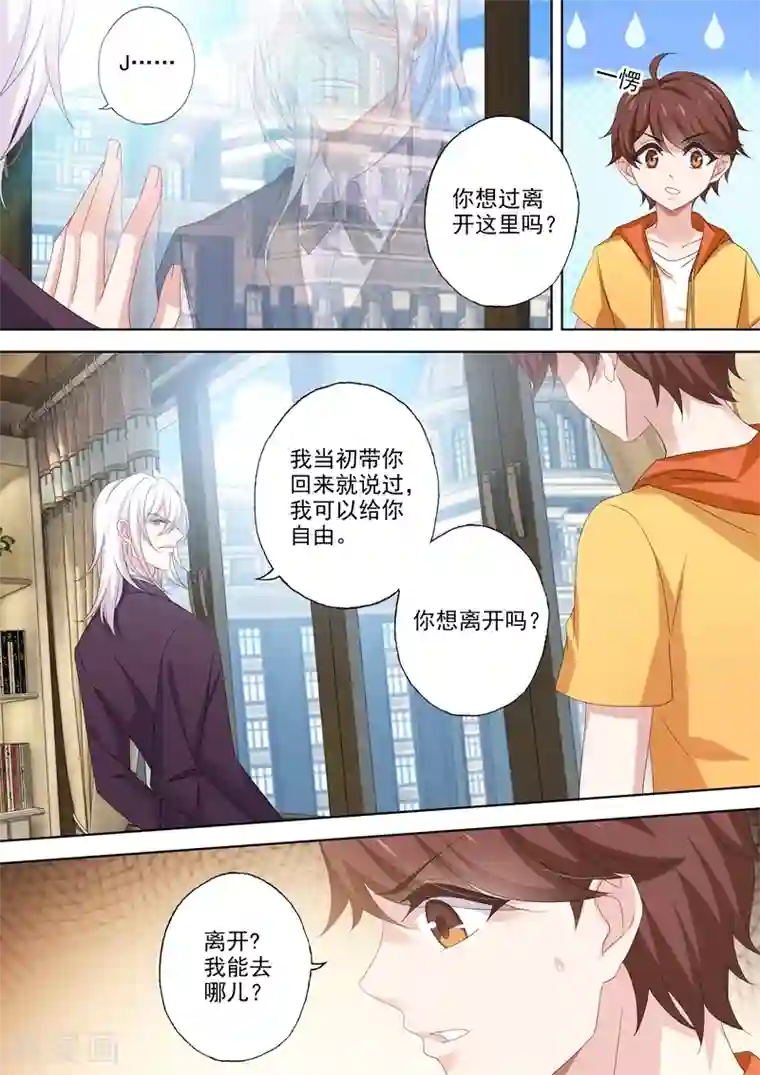 豪门天价前妻第494话 正确的决定！