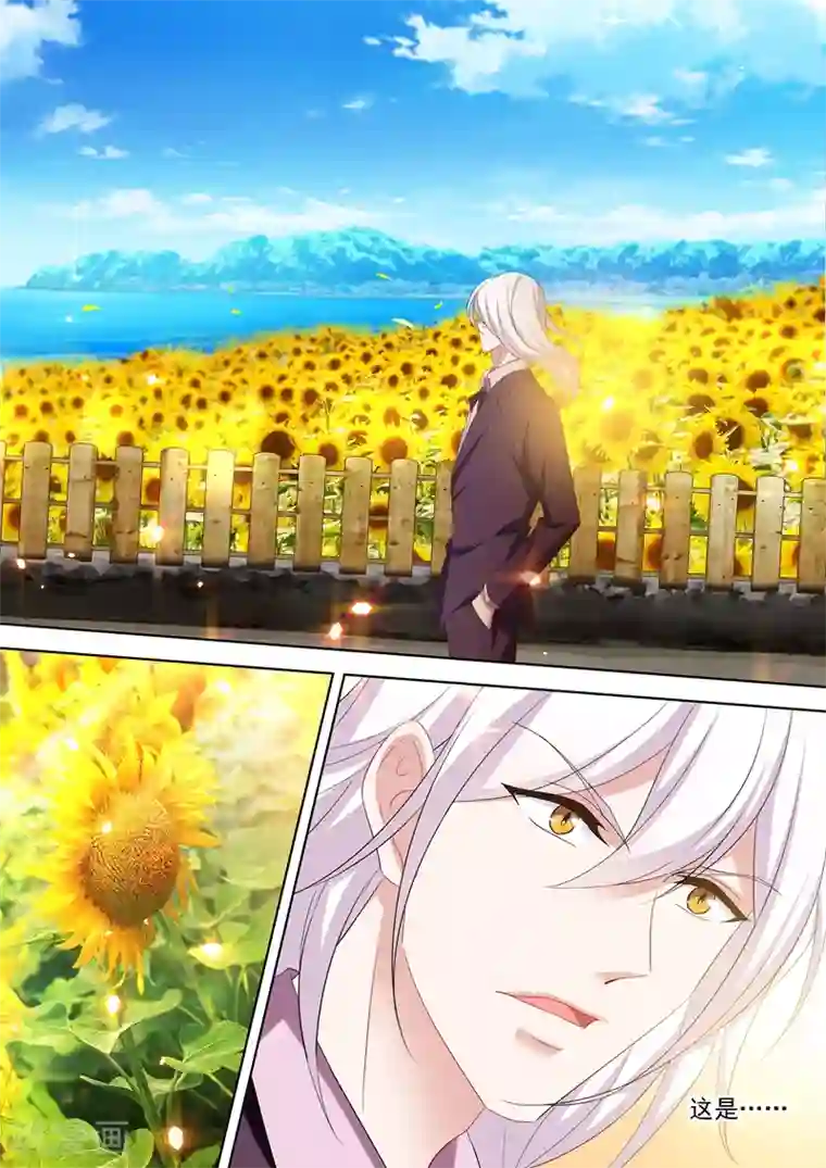 豪门天价前妻第529话 于墨宫盛开的希望