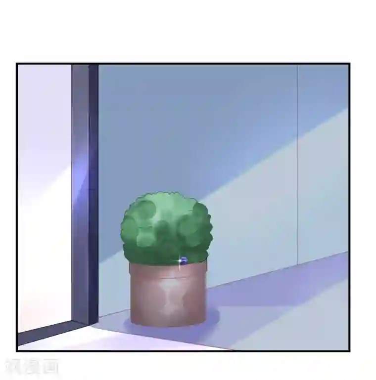 苏馨儿滚出娱乐圈第39话 赌输了就下跪