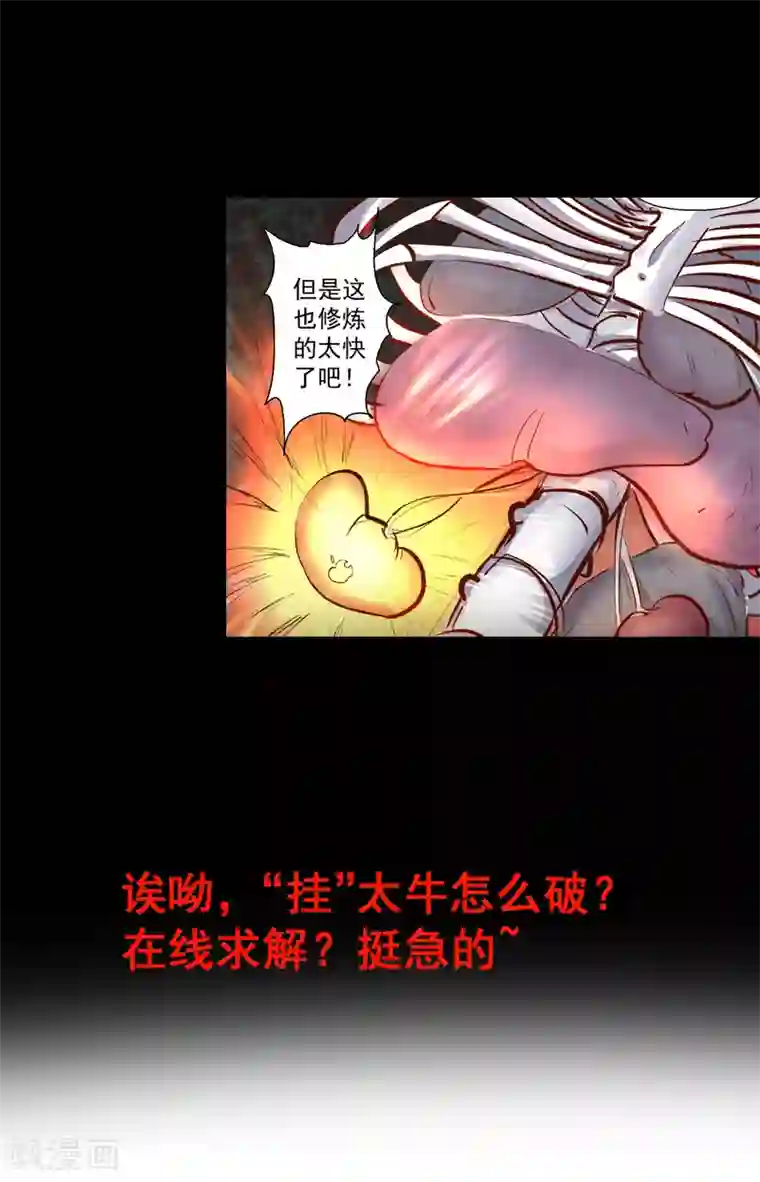 地表最强黄金肾预告