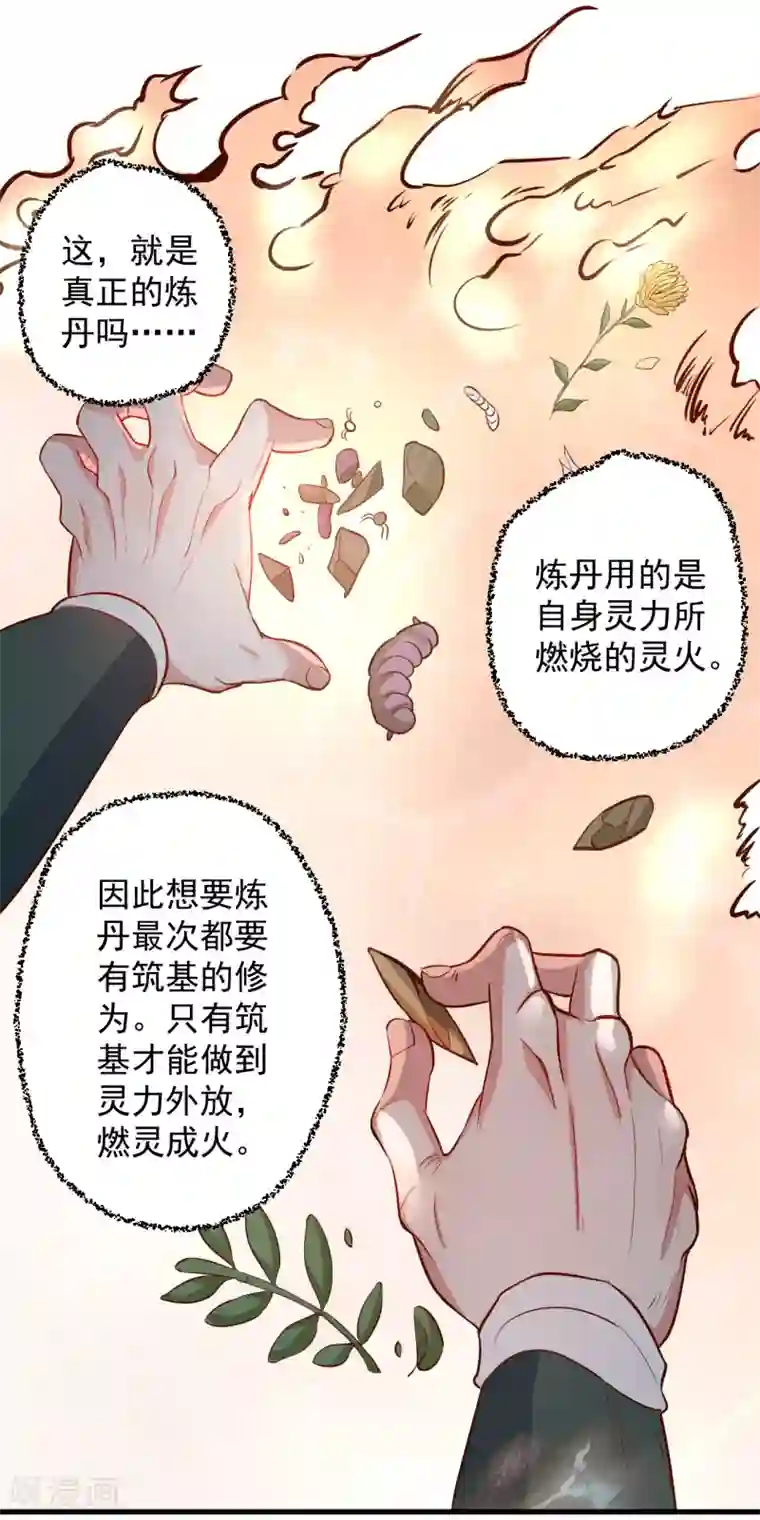 地表最强黄金肾第10话 天地玄黄炼丹师