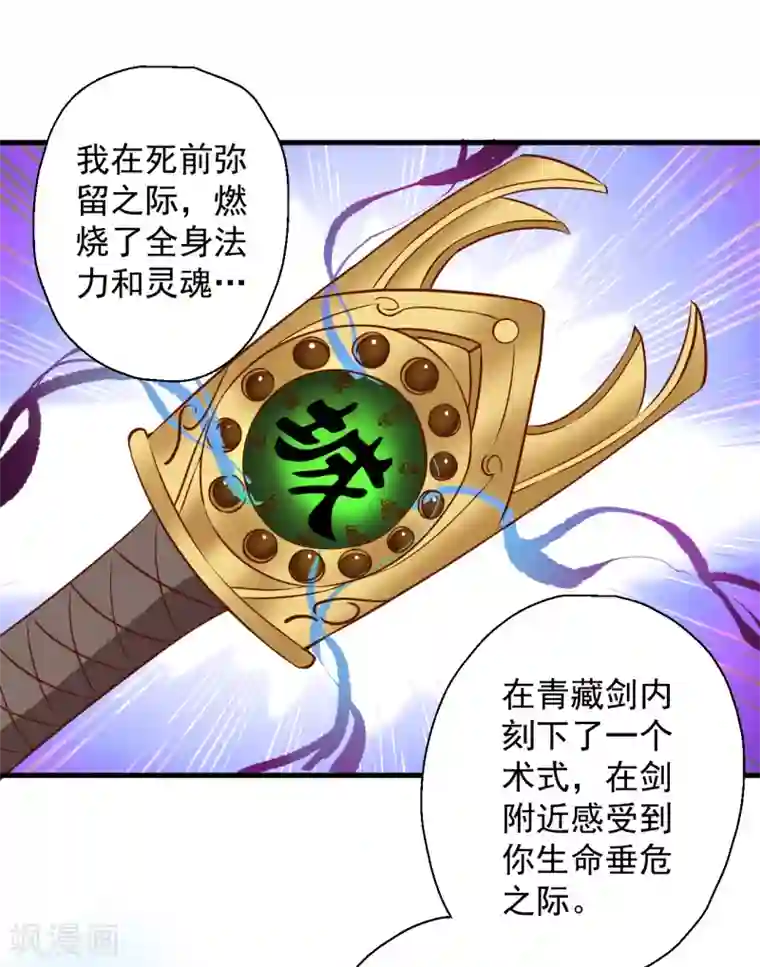 地表最强黄金肾第20话 青藏剑内露生机