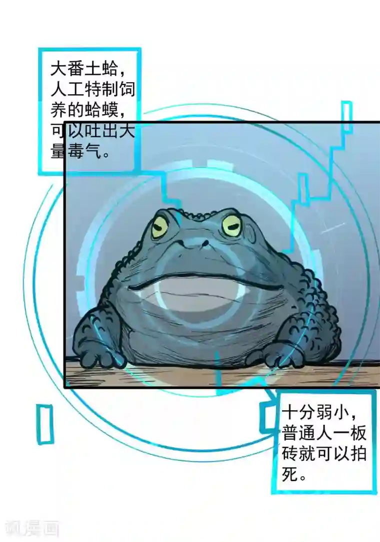 地表最强黄金肾第49话 天地法相为何物