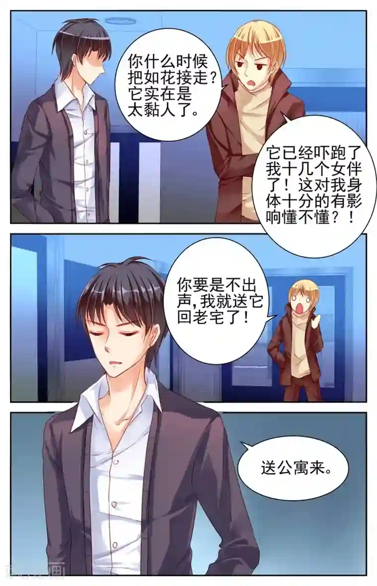 男神在隔壁第30话